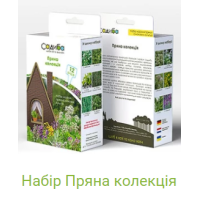 Набор семян "Пряная коллекция" 