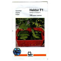 Огурец Гектор F1, 100 шт
