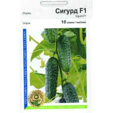 Огурец Сигурд F1