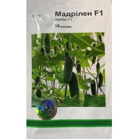  Огірок Мадрілен F1 10 шт, Агропакгруп