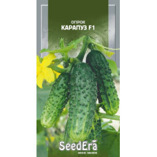 Огурец Карапуз F1  10 шт