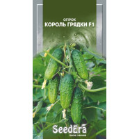 Огурец Король Грядки F1  10 шт