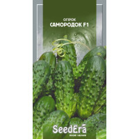 Огурец Самородок F1  0,5 г