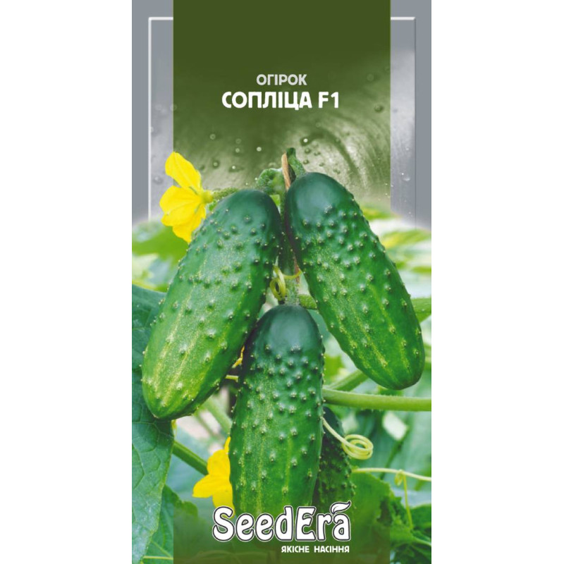 Огурец Соплица F1  0,5 г