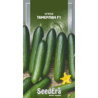 Огурец Тамерлан F1