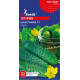 Огірок Баночний 10 шт, GL Seeds