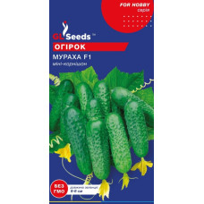 Огірок Мураха 0.5 г, GL Seeds