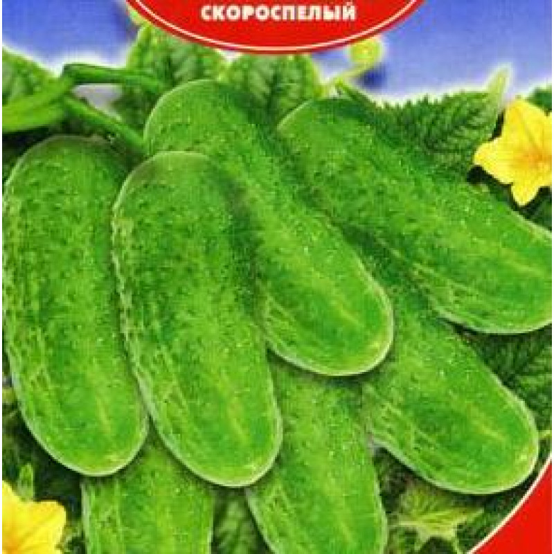 Огурец Дружная семейка