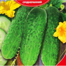 Огурец Зубренок