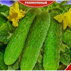 Огурец Кураж