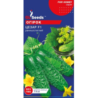 Огірок Цезар F1 0.5 г, GL Seeds