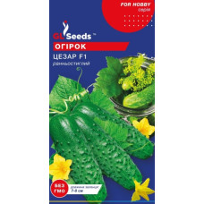 Огірок Цезар F1 0.5 г, GL Seeds