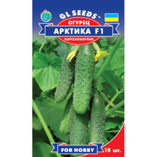 Огірок Арктика F1  10 шт