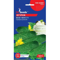 Огірок Бебі Міні 10 шт, GL Seeds