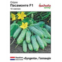 Огурец Пасамонте F1