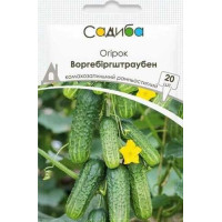 Огірок Воргебіргштраубен, 20 шт, Садиба 