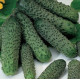 Огірок Пасалімо F1, 50 шт, Syngenta