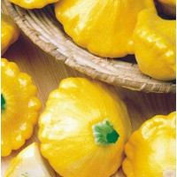Патісон Sunny Delight F1 Сані Делайт, 25 шт, Seminis