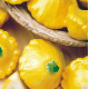 Патісон Sunny Delight F1 Сані Делайт, 100 шт, Seminis