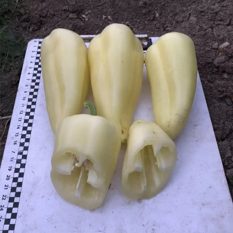 Перець Бора F1 5 шт, Spark Seeds
