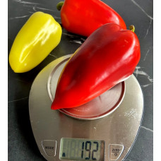 Перець Фьорст F1, 10 шт, Sakata