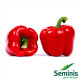 Перець Aristotel X3R F1 Aрістотель, 10 шт, Seminis