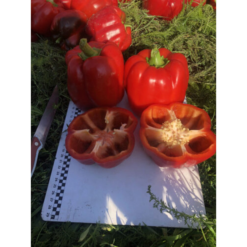 Перець Аіда F1 25 шт, Spark Seeds
