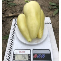 Перець Бора F1 5 шт, Spark Seeds