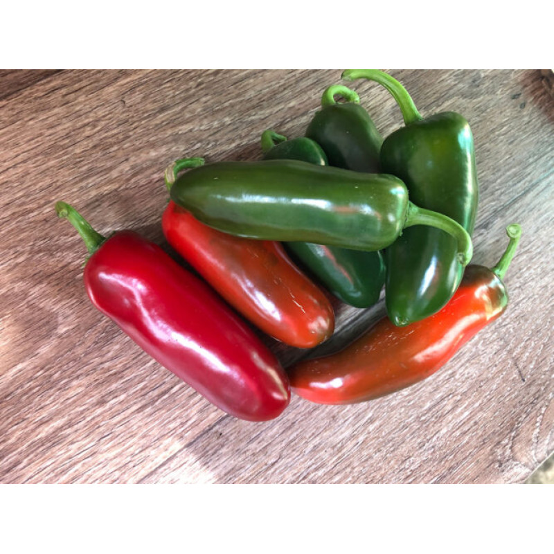 Перець гіркий Джин F1 5 шт, Spark Seeds