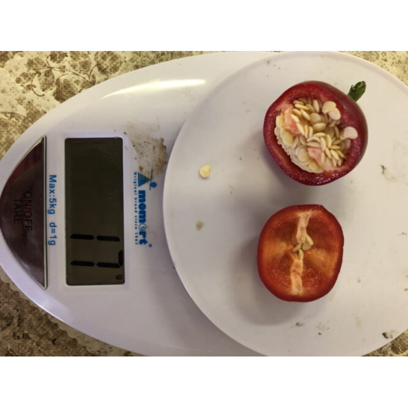 Перець гіркий Глобус F1 5 шт, Spark Seeds