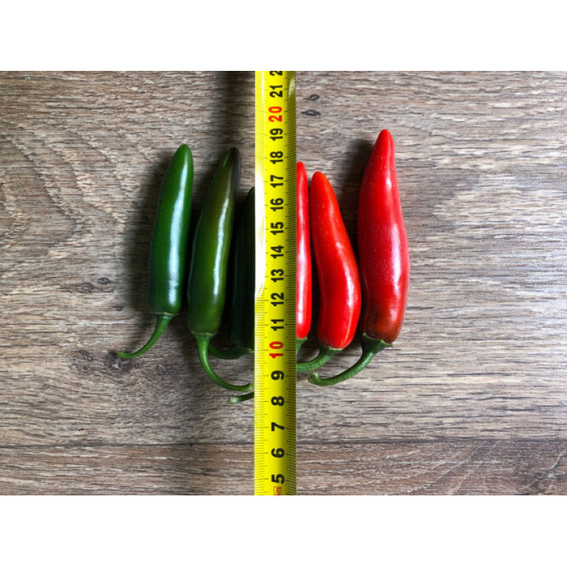 Перець гіркий Шарп F1 5 шт, Spark Seeds