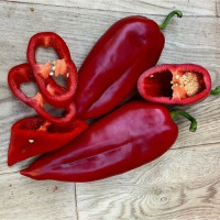 Перець Фанат F1 25 шт, Spark Seeds