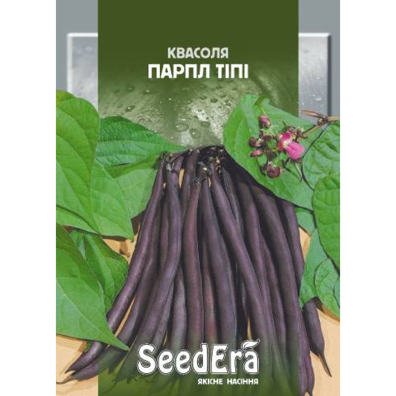 Фасоль спаржевая Парпл Типи