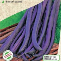 Фасоль "Пурпурная Королева" 10 шт
