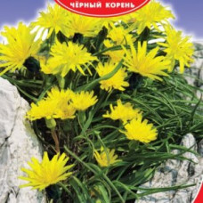 Скорцонера Дуплекс