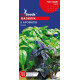Базилік 6 ароматів 1 г, GL Seeds