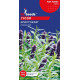Гісоп Аристократ 0.25 г, GL Seeds
