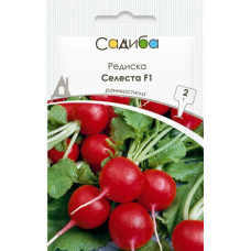 Редиска Селеста F1 2 г, Садиба