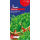 Рукола Делікатесна, 2 г, GL Seeds