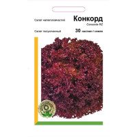 Салат Конкорд (тип Лолло Россо) 30 шт, Агропакгруп