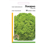 Салат Локарно (тип Лолла Біонда) 30 шт, Агропакгруп