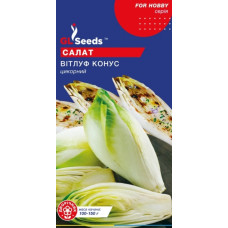 Салат цикорний Вітлуф конус 1 г, GL Seeds
