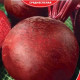 Буряк Негреня 20 г, Gl Seeds