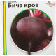 Буряк Бича кров 25 г, Імперія насіння