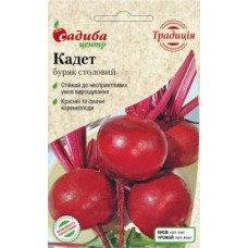 Буряк столовий Кадет 2 г, Садиба