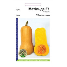 Тыква Матильда F1