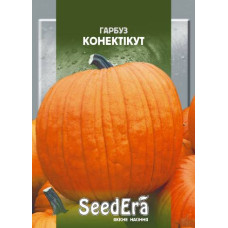 Тыква Конектикут