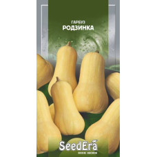 Тыква Изюминка