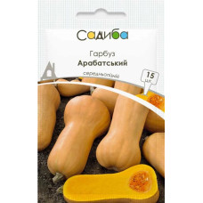Гарбуз Арабатський 15 шт, Садиба