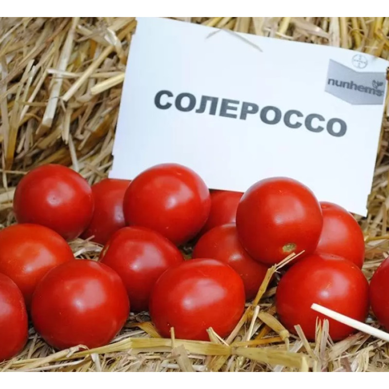 Томат Солероссо (Solerosso) F1 10 шт, Nunhems